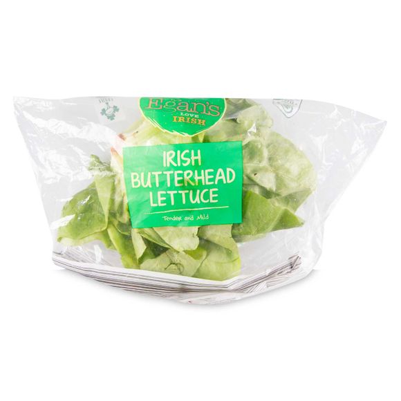 Butterhead Lettuce Each Egan's